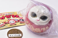 Kedaruma Part.1 [7.Secret: Shiro chan (Odd Eye)]