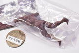 TAMA-KYU Mole The truth in the soil [2.Mole B]