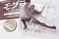 TAMA-KYU Mole The truth in the soil [3.Mole C]