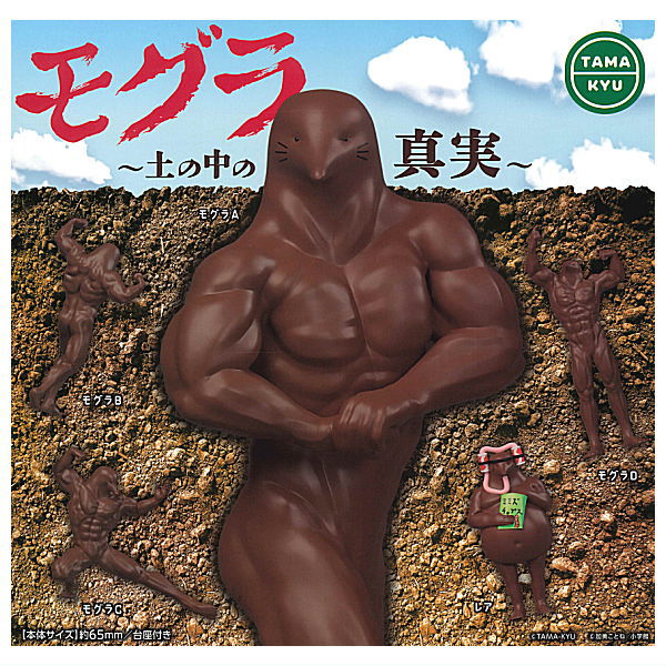 TAMA-KYU Mole The truth in the soil [All 5 type set(Full Complete)]