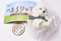 Buraburari-zu yureru wankotachi [2.Toy poodle (white)]