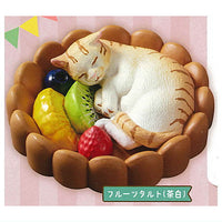 Felissimo Nekobu Sweets Nyanko Cushion Figure [1.Fruit tart (Chashiro)]