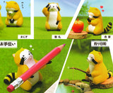 Rascal toaruhitotoki [All 5 type set(Full Complete)]