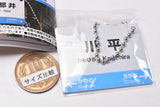 JR Katsute jitsuzaishita Abandoned station signboard ball chain [2.Kawahira]