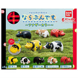 Ushi (beko) Narabundesu. Another color [All 5 type set(Full Complete)]