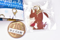 Hokkaido Friends Charm Collection [3.Ezo squirrel]