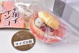 Wagashi parakeet [3.Monaka]