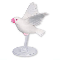 Java sparrow life Part.4 [1.White sparrow/wings upward (flapping flight)]