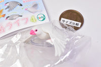 Java sparrow life Part.4 [2.White sparrow/wings downward (flapping flight)]