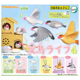 Java sparrow life Part.4 [All 6 type set(Full Complete)]