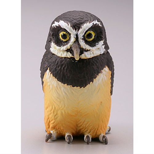 Capsule Q Fortune Owl Collection Part.2 [1.Spectacled owl]