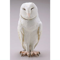 Capsule Q Fortune Owl Collection Part.2 [4.Barn Owl (albinism)]