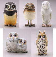 Capsule Q Fortune Owl Collection Part.2 [All 5 type set (Full Complete)]