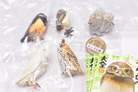 Capsule Q Fortune Owl Collection Part.2 [All 5 type set (Full Complete)]