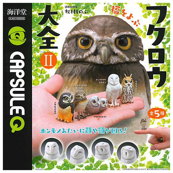 Capsule Q Fortune Owl Collection Part.2 [All 5 type set (Full Complete)]