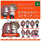 Sukinako ga megane wo wasureta Capsule rubber strap [All 8 type set (Full Complete)]