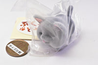 Pukupero Animal Mascot Figure [2.Cat]