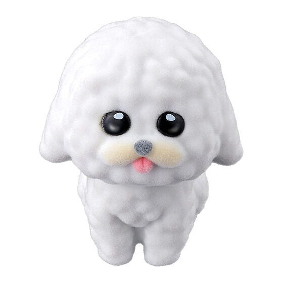 MOFLOCKY ZOO [1.Bichon frize]
