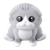 MOFLOCKY ZOO [4.Scottish fold]