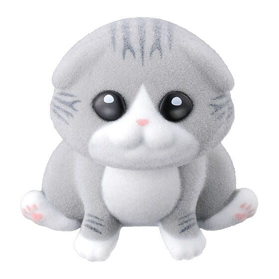 MOFLOCKY ZOO [4.Scottish fold]