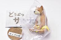 Animal sauna set Part.2 [3.Shiba Inu]
