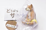 Animal sauna set Part.2 [3.Shiba Inu]
