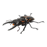 Kuwagata 07 [5.Zebra saw stag beetle (revised)]