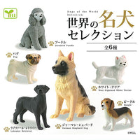 Dogs of the World Selection [All 6 type set(Full Complete)]