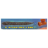 Punyupunyu! Long moray eel mascot [5.Skeletor moray + earthen pipe]