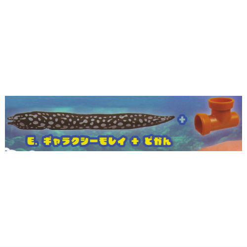 Punyupunyu! Long moray eel mascot [5.Skeletor moray + earthen pipe]