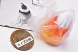 Machiboke coffee shop Katame pudding Choppiri otona flavor [7.Sunset-colored orange jelly]