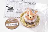 petit animal cake [5.Dog orange chocolate]