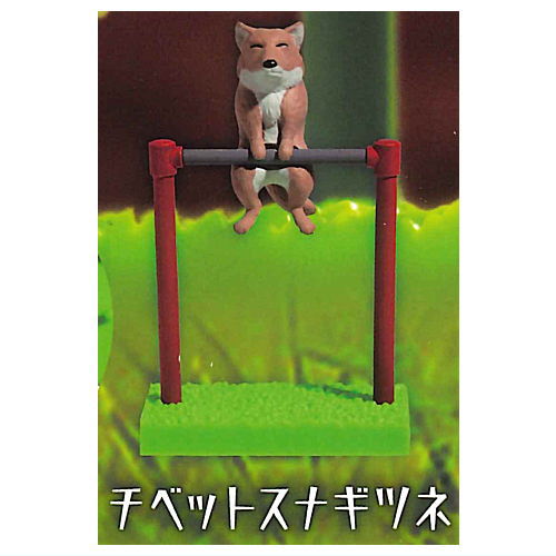 Sunset iron bar club [1.Tibetan sand fox]