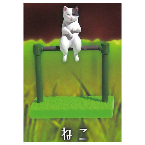 Sunset iron bar club [3.Cat]