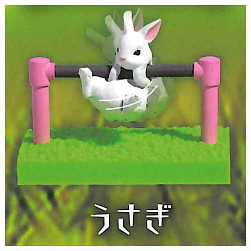 Sunset iron bar club [5.Rabbit]