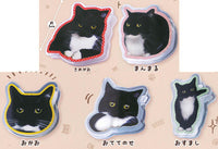 Nekonouni: 3 Chokonto! acrylic clip [All 5 type set(Full Complete)]