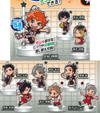 Decora PIC Acrylic Haikyu!! [All 9 type set (Full Complete)]