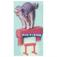 Animal Attraction Balance beam Cat [2.Sabatora+balance beam]