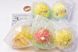 Tenohira de naichau!? Manmaru tenoridori mascot Parakeet daishugo! [All 5 type set(Full Complete)]