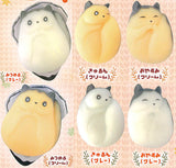 Ezomomongaki [All 6 type set(Full Complete)]