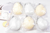 Ezomomongaki [All 6 type set(Full Complete)]