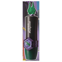 Disney Villains Lip Case Crystal Emblem [4.Maleficent]