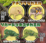 Animalier collection 1/1 Breviceps Adpersus & Waxy Monkey Tree Frog Part.2 [All 4 type set(Full Complete)]