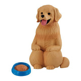 Mateboke dog [1.Golden retriever]