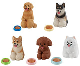 Mateboke dog [All 5 type set(Full Complete)]