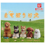 Mateboke dog [All 5 type set(Full Complete)]