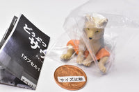 Animal sauna Part.11 [2.Tibetan sand fox]