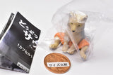 Animal sauna Part.11 [2.Tibetan sand fox]