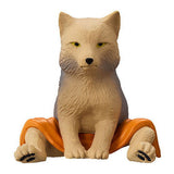 Animal sauna Part.11 [2.Tibetan sand fox]