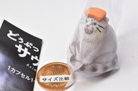 Animal sauna Part.11 [3.Manul cat]